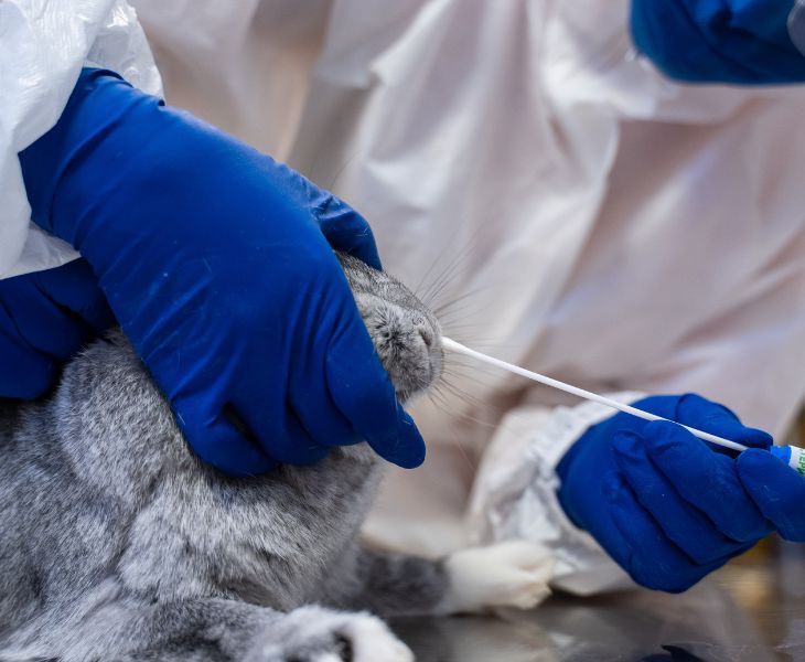 Animal Testing Policy 1
