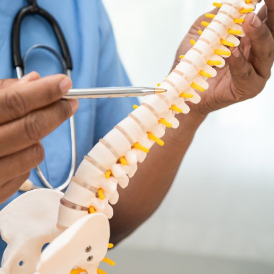 Bone Health Support