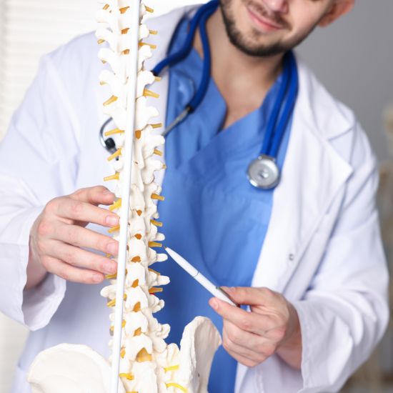 Bone Strength Support