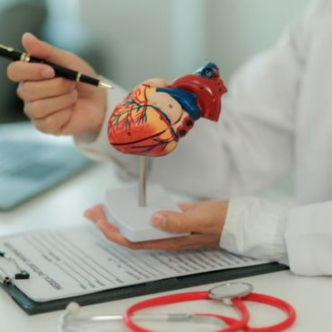Cardiovascular health 2