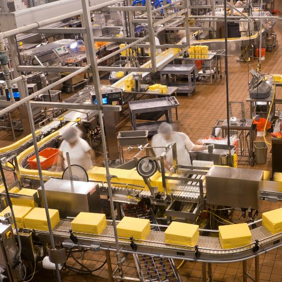 Cheese Preservation