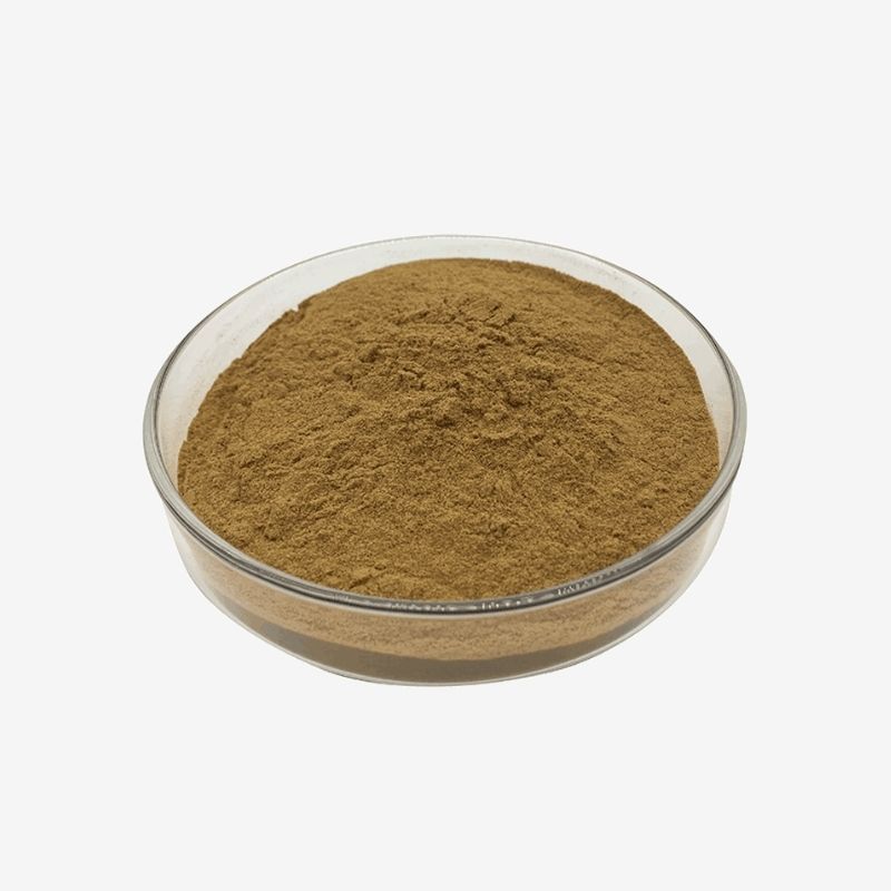 China Wholesale Fermented Cordyceps Mycelia Powder 2