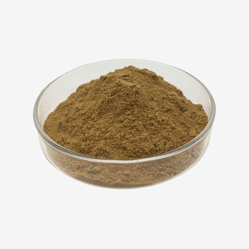 China Wholesale Fermented Cordyceps Mycelia Powder 3