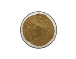 Coenzyme Q10 3
