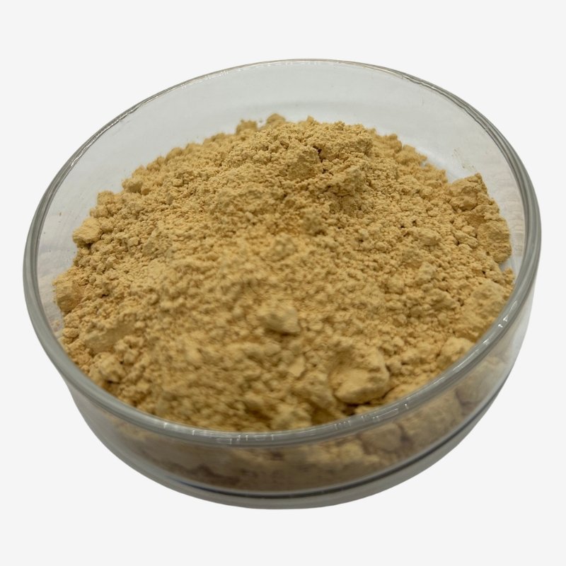 Epimedium Extract Powder1