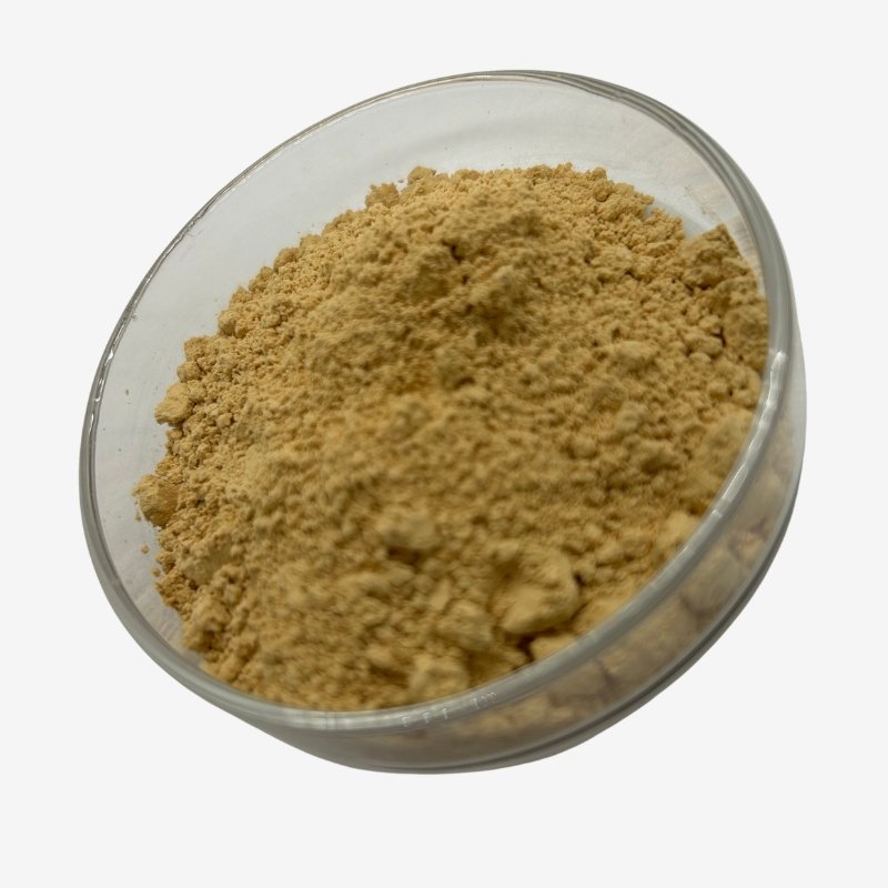 Epimedium Extract Powder2