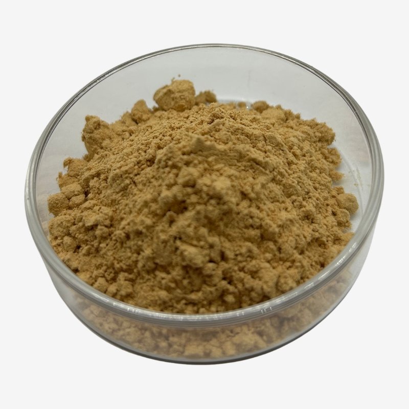 Epimedium Extract Powder3