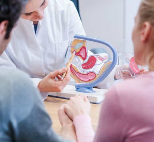 Fertility Support..