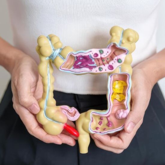 Gut Health