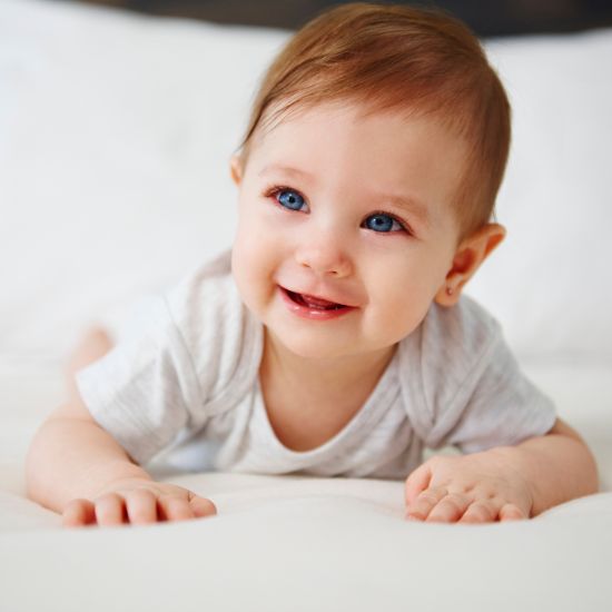 Infant Formulas