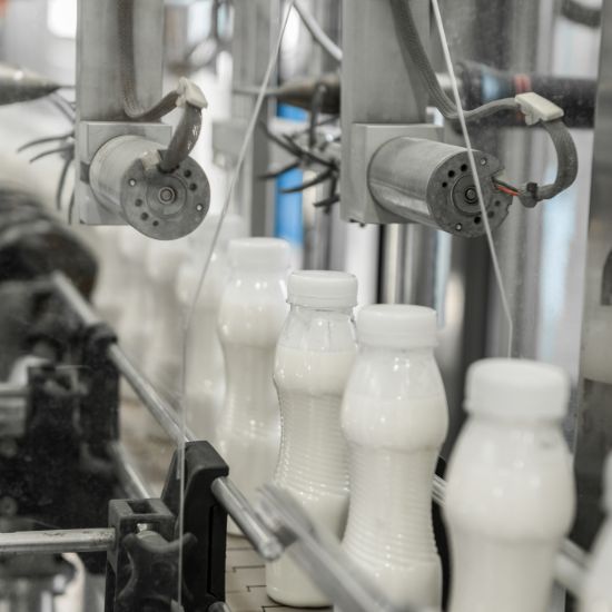 Lactose-Free Dairy Production