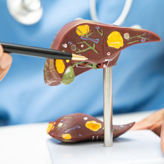 Liver Detoxification