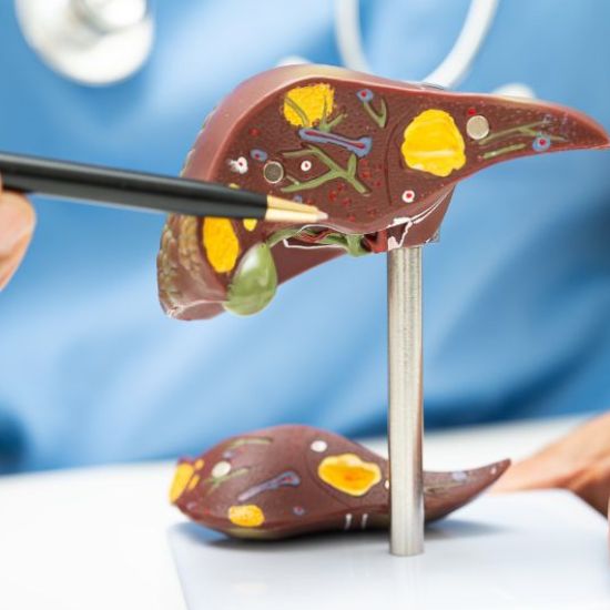 Liver Health Support