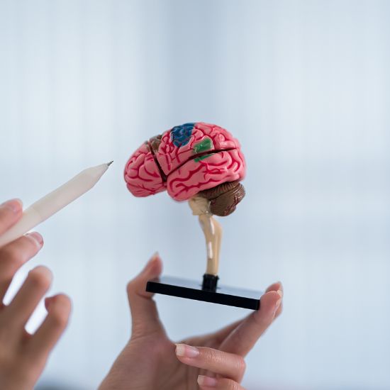 Neurological Function