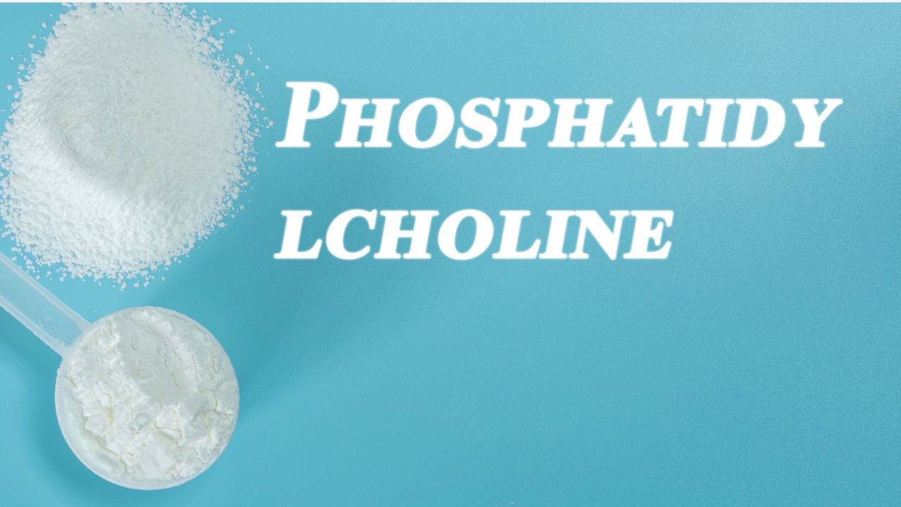 Phosphatidylserine vs Phosphatidylcholine: Benefits and Applications