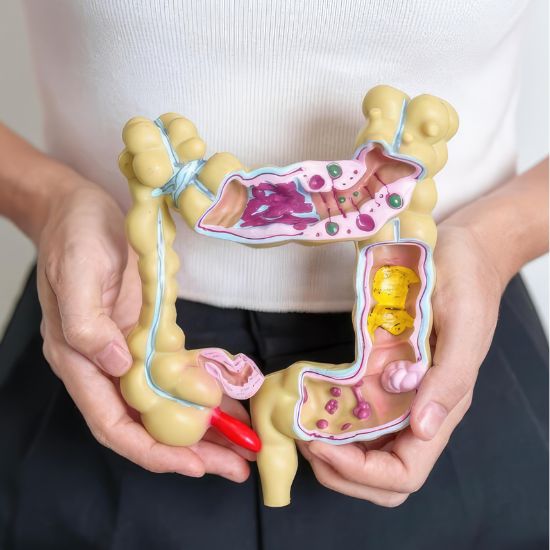 Promote Digestive Motility