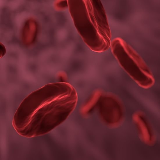 Red Blood Cell Production