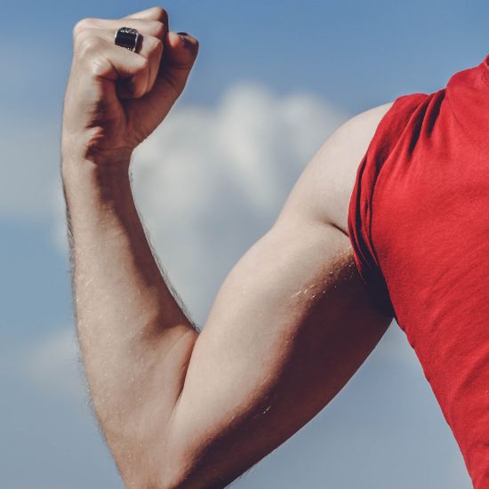 Reducing Muscle Breakdown
