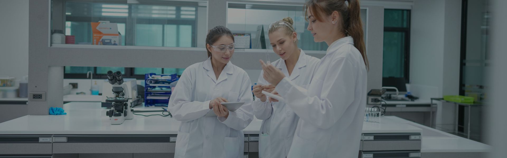 Research & Development and Custom Synthesis