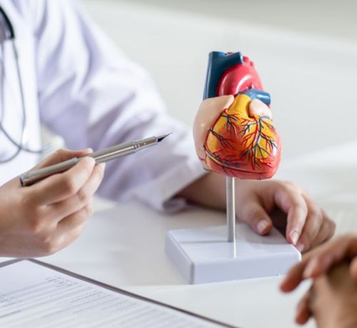 Support Heart Health..