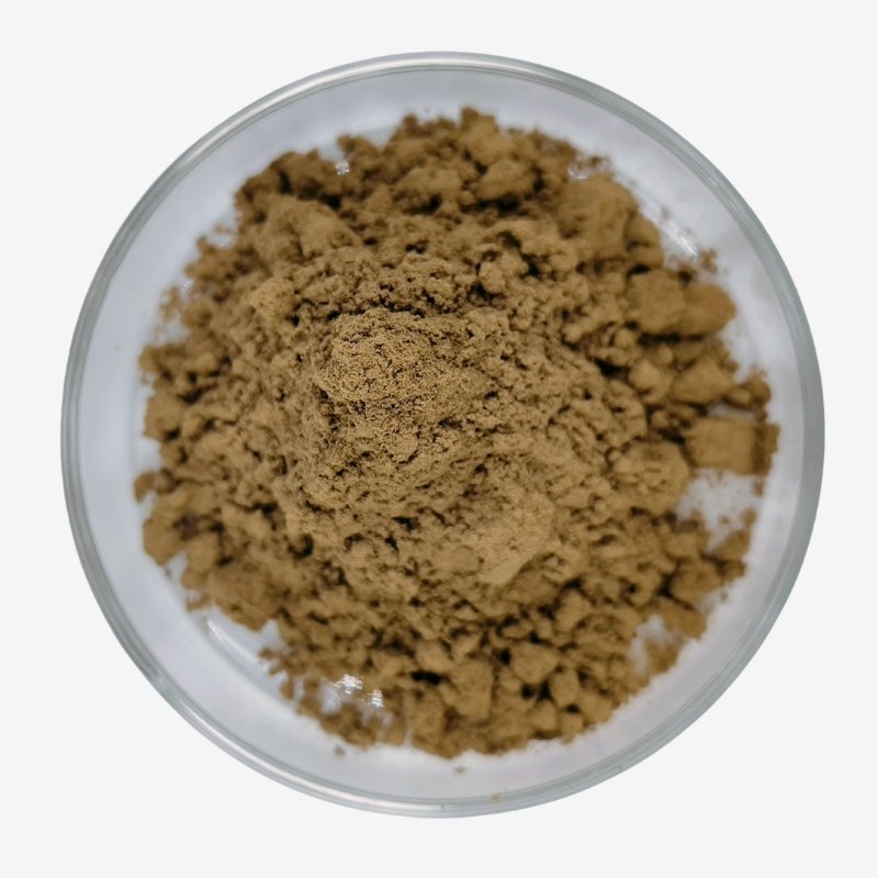 Tribulus Terrestris Extract Powder2