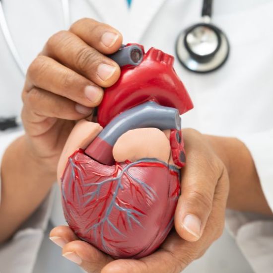 Vascular Health