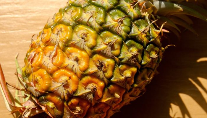 What Is Bromelain