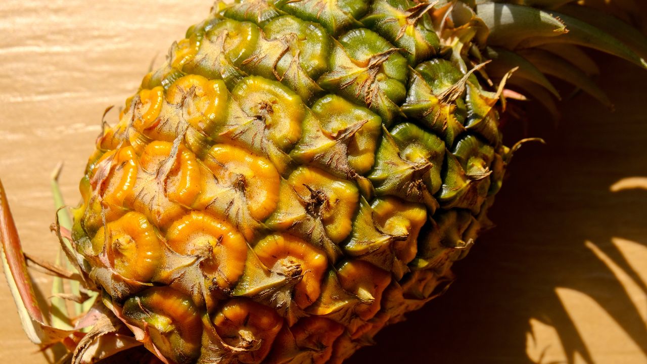 What Is Bromelain
