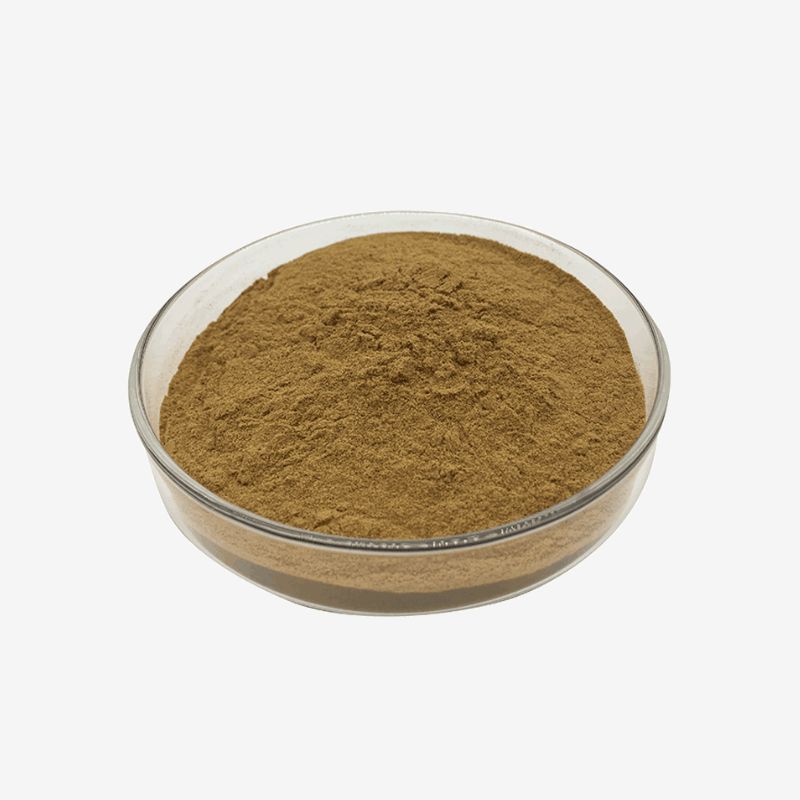 Wholesale Gotu Kola Extract Powder in China 2