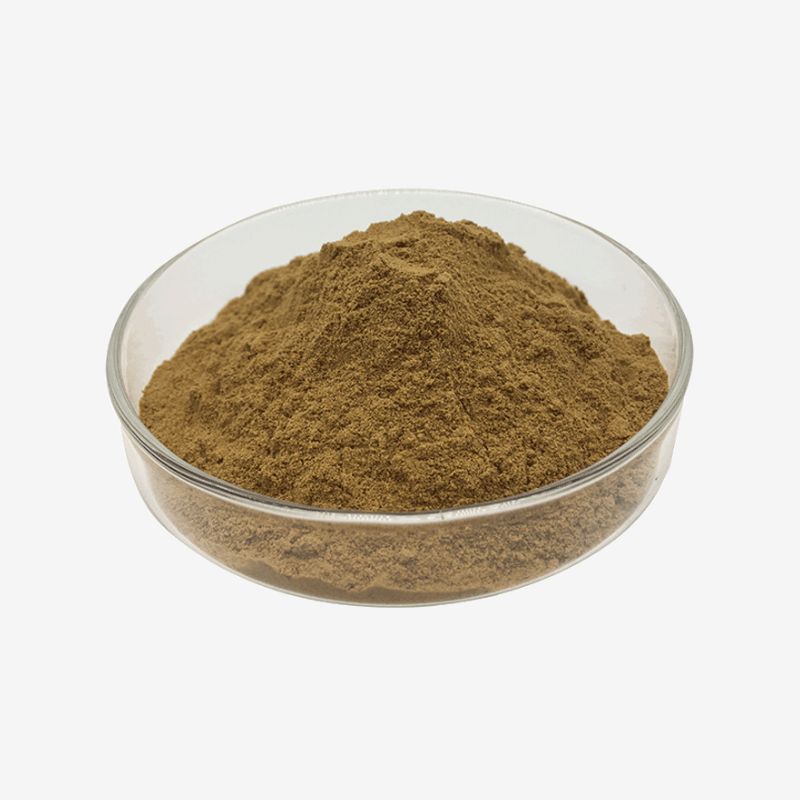 Wholesale Siberian Ginseng Extract for Your Formulas 1