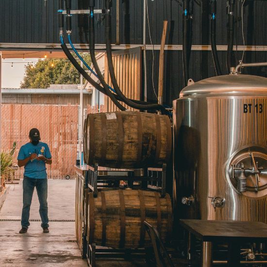 Wine and Beer Brewing
