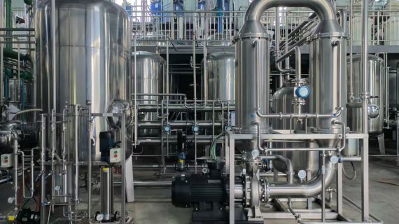 Your Professional Soy Isoflavone Supplier in China 1